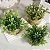 Plantas Artificiais Arranjo Eucalipto Grama 10 - 11cm - Imagem 6