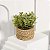 Plantas Artificiais Arranjo Eucalipto Grama 10 - 11cm - Imagem 17