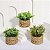 Plantas Artificiais Arranjo Eucalipto Grama 10 - 11cm - Imagem 19
