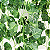 Planta Artificial Trepadeira Verde 90cm - Imagem 7