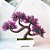 Planta Artificial Bonsai Pequeno Vaso De Arvore 27cm - Imagem 24
