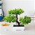 Planta Artificial Bonsai Pequeno Vaso De Arvore 27cm - Imagem 13