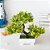 Planta Artificial Bonsai Pequeno Vaso De Arvore 27cm - Imagem 14