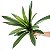 Planta Artificial Agave Tropical Verde 40 - 64cm - Imagem 12