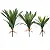 Planta Artificial Agave Tropical Verde 40 - 64cm - Imagem 15