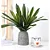 Planta Artificial Agave Tropical Verde 40 - 64cm - Imagem 4