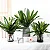 Planta Artificial Agave Tropical Verde 40 - 64cm - Imagem 18