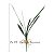 Planta Artificial Agave Tropical Verde 40 - 64cm - Imagem 19