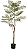 Planta Artificial Arvore Acaica C/Pote Plastico X23 Verde 1,60m - Imagem 1