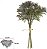 Planta Artificial Folhagem Grass Ramalhete C/Fita X6 Verde Purpura 34cm - Imagem 1