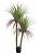 Planta Artificial  Arvore Yucca C/Pote X117 Verde 1,5m - Imagem 1