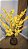 Planta Artificial Arvore Forsitia X450 Amarelo 1,2m - Imagem 2