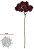 Capim Mamona X12 Marsala 40cm - Imagem 1