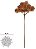 Capim Mamona X12 Chocolate 40cm - Imagem 1