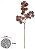 Capim Mamona C/Coat  X24 Marsala Outono 70cm - Imagem 1