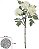 Capim Mamona C/Coat C/Flocked X13 Creme Outono 60cm - Imagem 1
