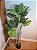 Planta Artificial Arvore Costela De Adão Real Toque Pu C/Pote X14 Verde 1,4cm - Imagem 2