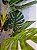 Planta Artificial Arvore Costela De Adão Real Toque Pu C/Pote X14 Verde 1,4cm - Imagem 5