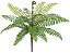 Planta Artificial Folhagem Samambaia Real Toque C/Powder X18 Verde 30cm - Imagem 1