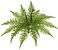 Planta Artificial Folhagem Samambaia C/Print X17 Verde 41cm - Imagem 1