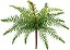 Planta Artificial Folhagem Samambaia Real Toque C/Powder X16 Verde 30cm - Imagem 1