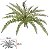 Planta Artificial Folhagem Samambaia C/Print X19 Verde 49cm - Imagem 1
