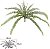 Planta Artificial Folhagem Samambaia C/Print Plastico X16 Verde 2T 65cm - Imagem 1