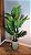 Planta Artificial Arvore Palmeira X21 Verde 1,65m - Imagem 6