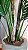 Planta Artificial Arvore Palmeira X21 Verde 1,65m - Imagem 3