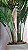 Planta Artificial Arvore Palmeira X21 Verde 1,65m - Imagem 5