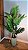 Planta Artificial Arvore Palmeira X21 Verde 1,65m - Imagem 2