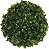 Folhagem Grama Buchinho Verde 18cm - Imagem 1