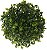 Folhagem Grama Buchinho Verde 13cm - Imagem 1
