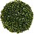 Folhagem Grama Buchinho Verde 22cm - Imagem 1