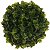 Folhagem Grama Buchinho Verde 13cm - Imagem 1