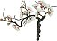 Planta Artificial Arvore Bonsai Cerejeira X25 Creme 24cm - Imagem 1