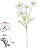 Haste Cosmos C/Flocked X4 Creme 60cm - Imagem 1