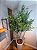 Planta Artificial Oliveira 2,20m Kit + Vaso Branco Cônico 55cm - Imagem 7