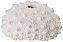 Vaso Decorativo Poliresina Coral Branco 4,5cm - Imagem 1