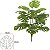 Planta Artificial Arvore Costela De Adao Real Toque X18 Verde 75cm - Imagem 1