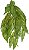 Planta Artificial Folhagem Begonia Maculata Pendurar X29 Verde 2T 45cm - Imagem 1