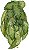 Planta Artificial Folhagem Caladium Pendurar X29 Verde 2T 45cm - Imagem 1
