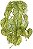 Planta Artificial Folhagem Caladium Pendurar X23 Verde Creme 28cm - Imagem 1