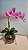 Arranjo Aquário Com Orquidea Rosa 40cm mod. 0407 - Imagem 1