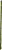 Planta Artificial Bamboo Amarrado C/Fita X6 Verde 75cm - Imagem 1
