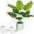 Planta Artificial Folhagem Calathea Real Toque C/Pote X9 Verde 42cm - Imagem 1