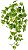 Planta Artificial Folhagem Jiboia Pendente Real Toque X84 Verde Creme 60cm - Imagem 1
