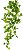 Planta Artificial Folhagem Hera Pendente Real Toque X162 Verde 1,1m - Imagem 1