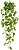 Planta Artificial Folhagem Jiboia Pendente Real Toque X162 Verde Creme 1,1m - Imagem 1