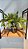 Arranjo Verde Com Cycas 35cm Chumbado em Pote - Imagem 7